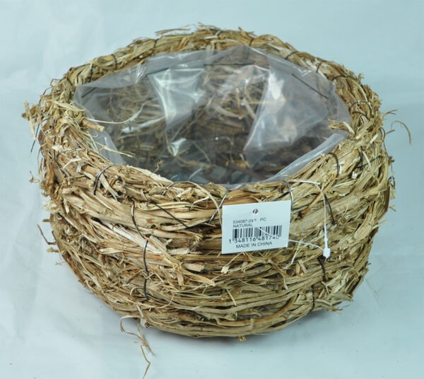 BEAN STEM PLANTER (534087-24P)